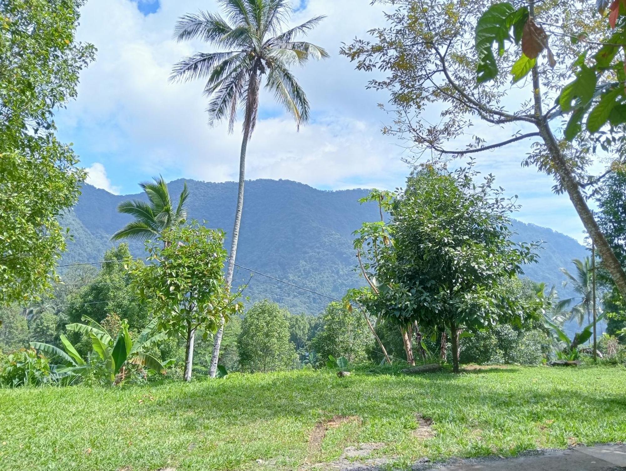 Jepun Homestay Lemukih Singaraja  Exterior photo