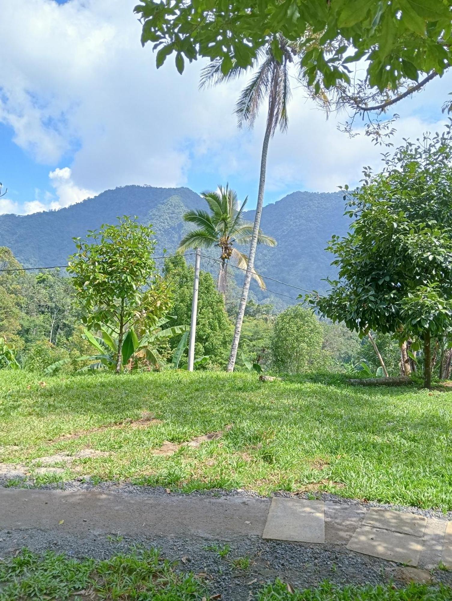 Jepun Homestay Lemukih Singaraja  Exterior photo