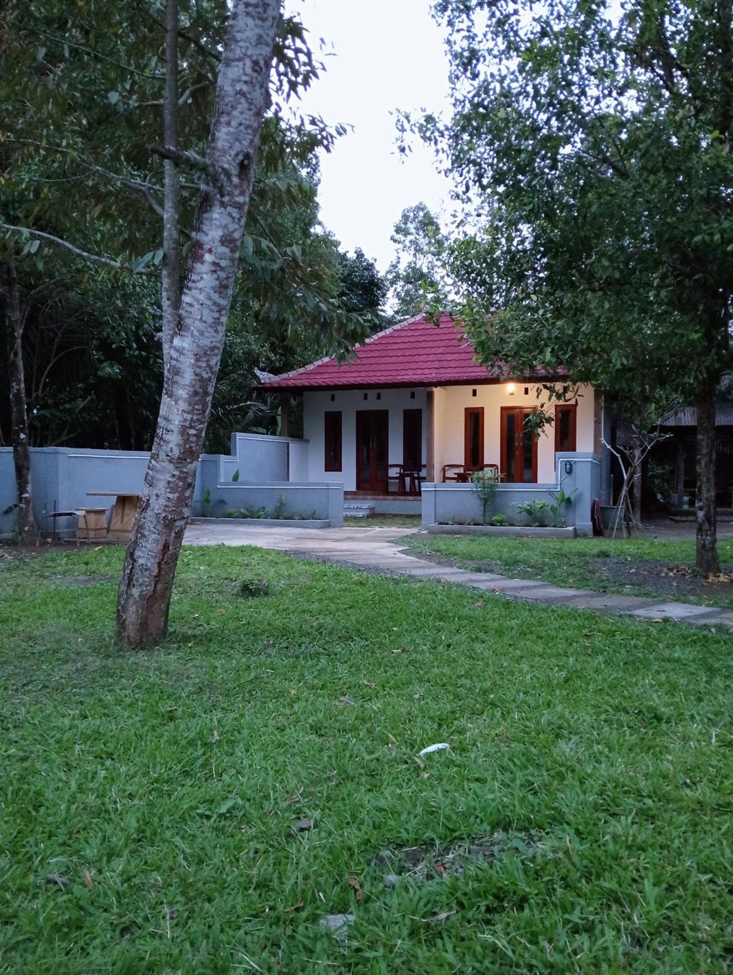 Jepun Homestay Lemukih Singaraja  Exterior photo