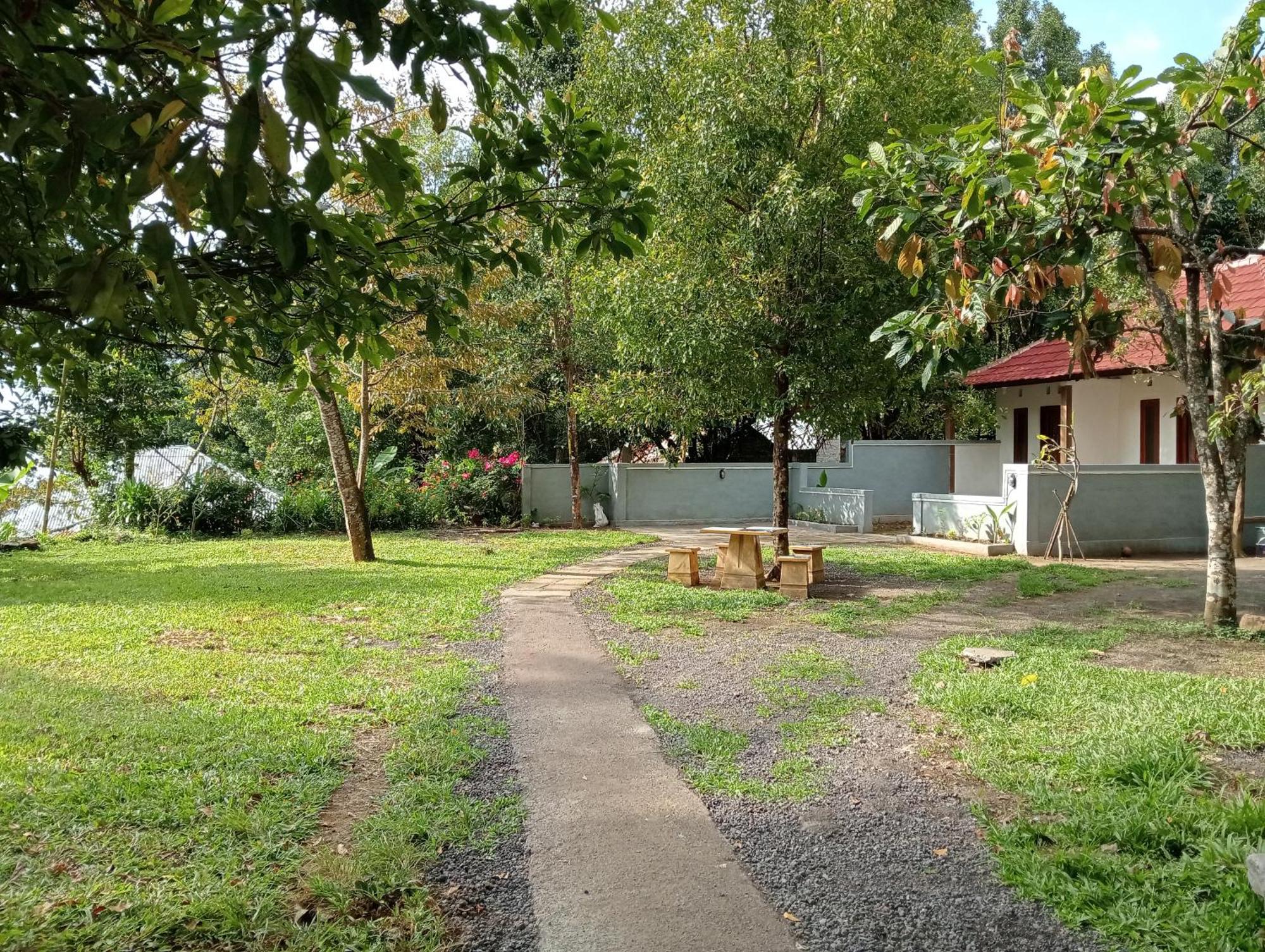 Jepun Homestay Lemukih Singaraja  Exterior photo