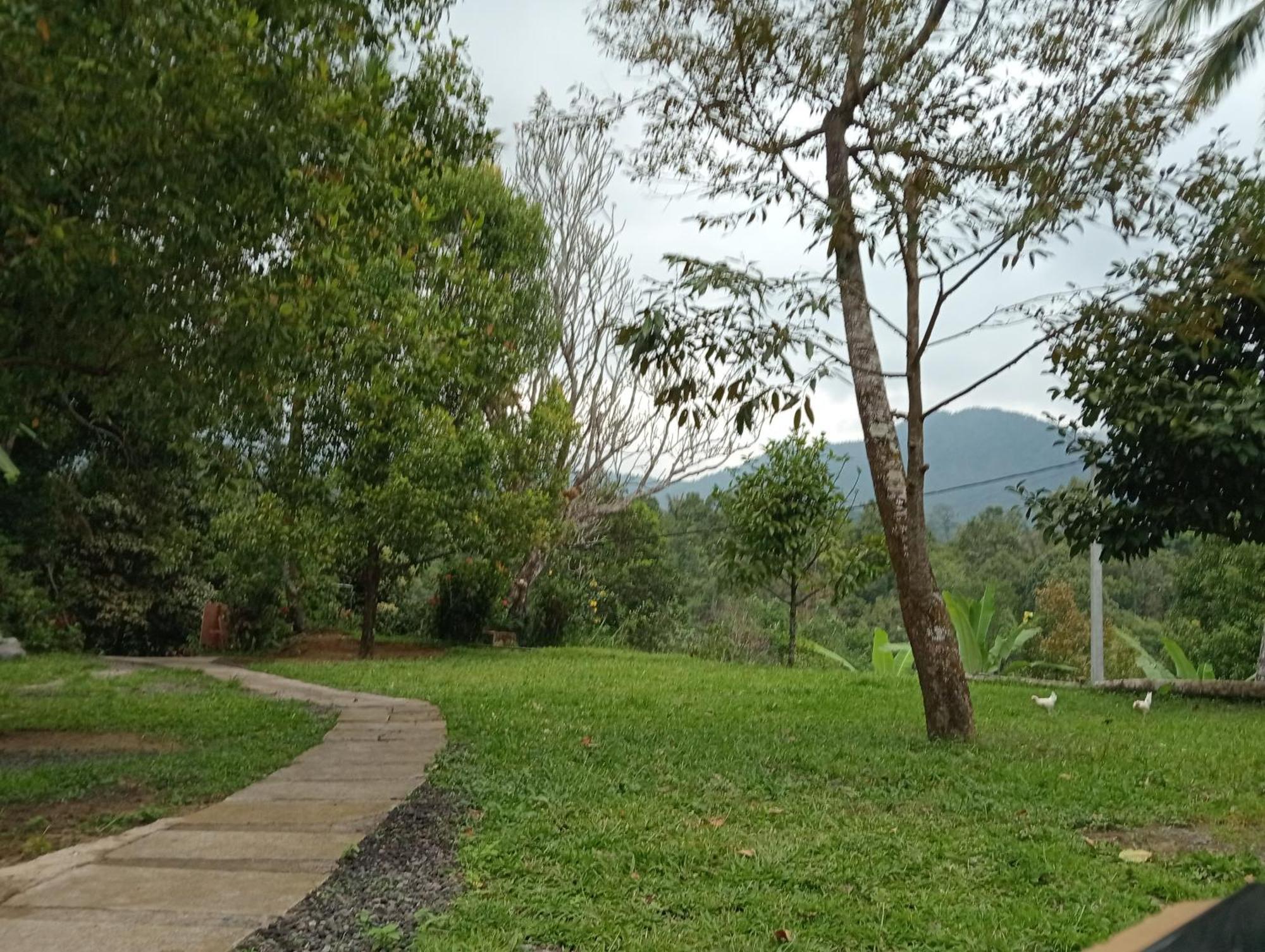 Jepun Homestay Lemukih Singaraja  Exterior photo