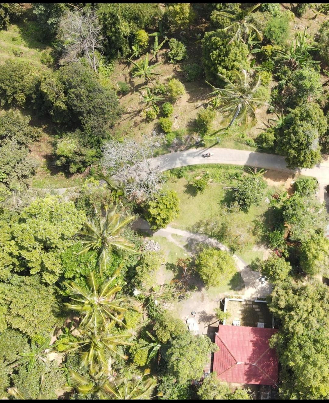 Jepun Homestay Lemukih Singaraja  Exterior photo