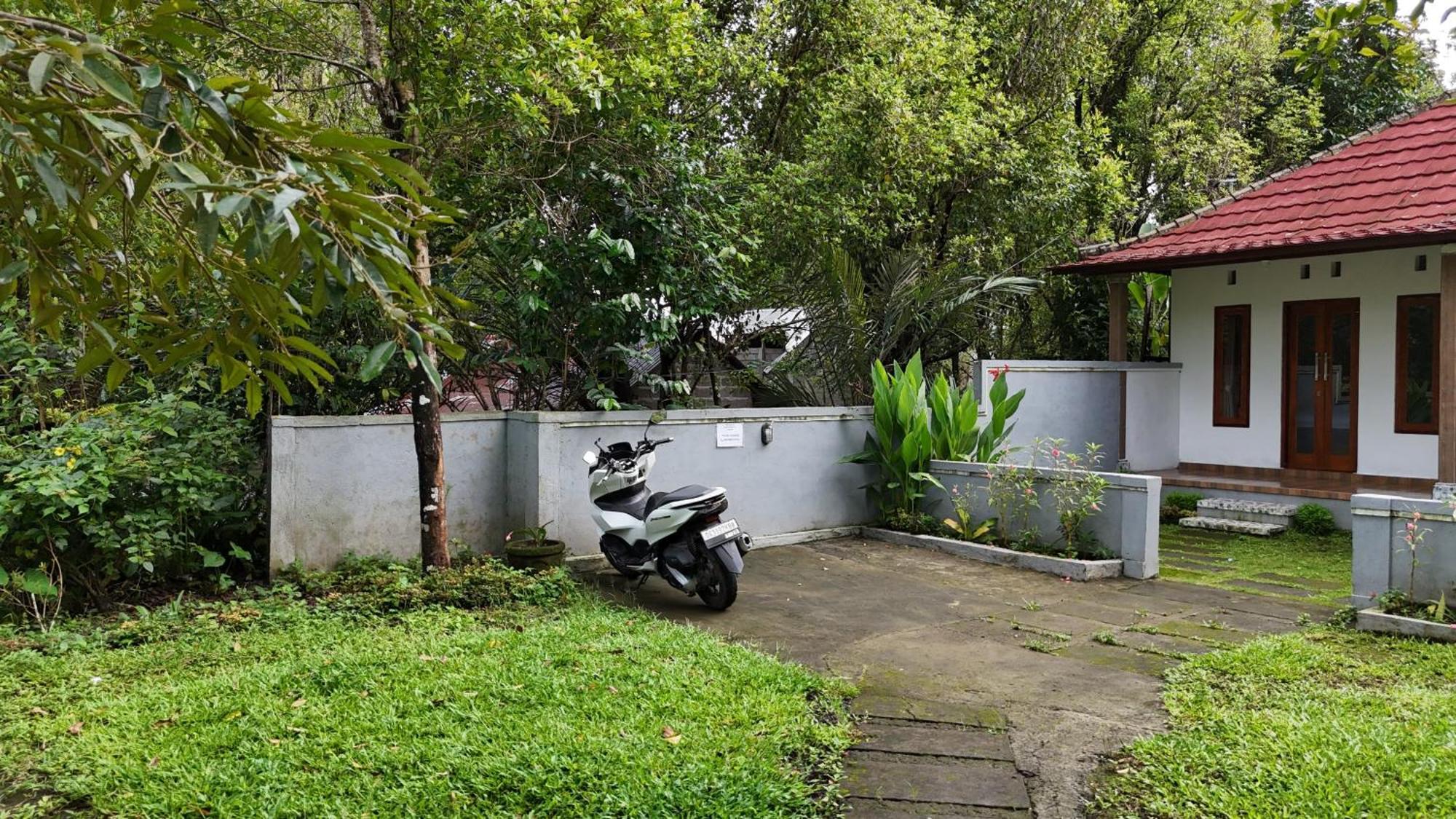 Jepun Homestay Lemukih Singaraja  Exterior photo